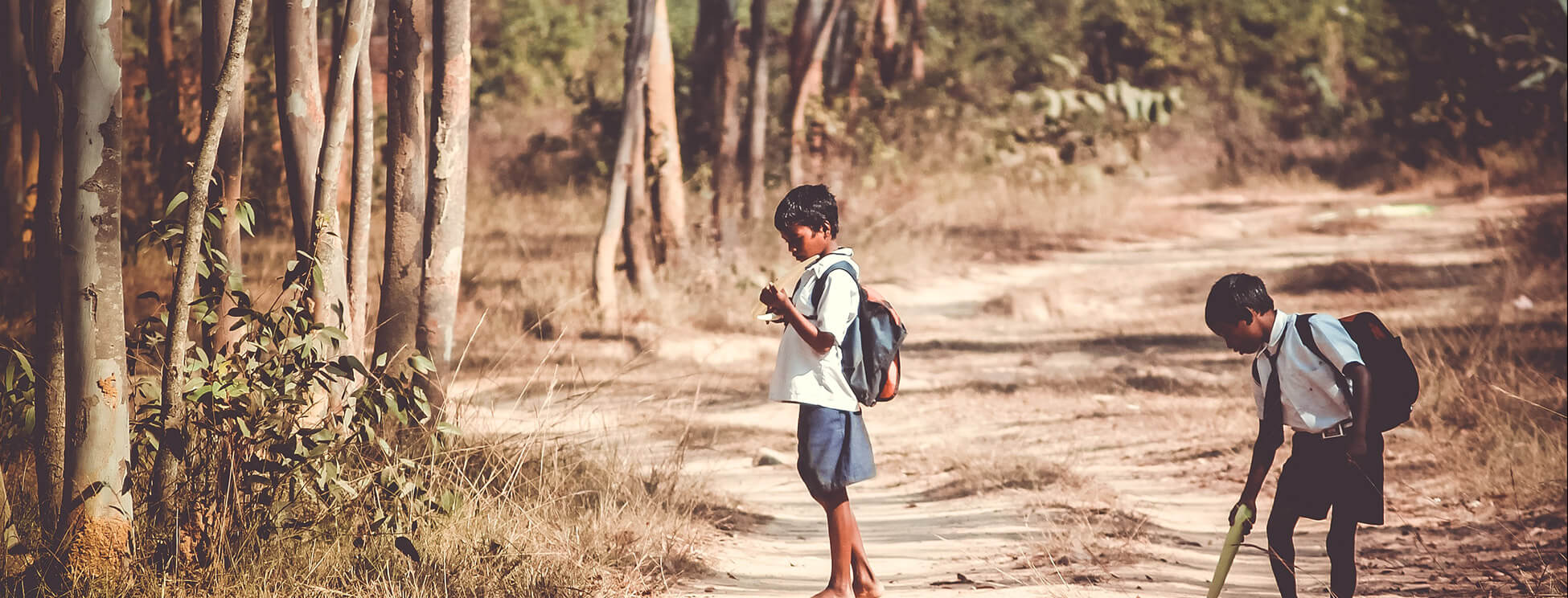 Student studying with mentor